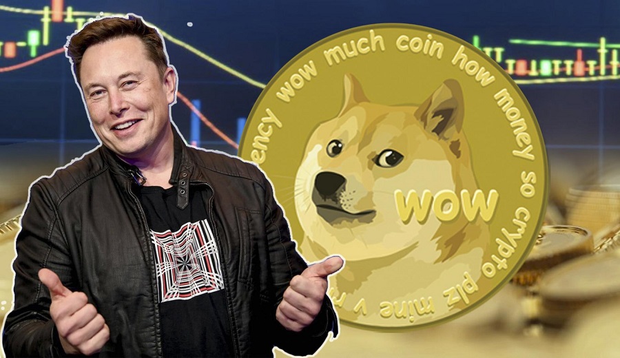 Elon Musk - Dogecoin (ilustracija)