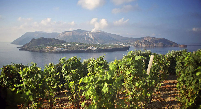 pogled na sicilijanske vinograde