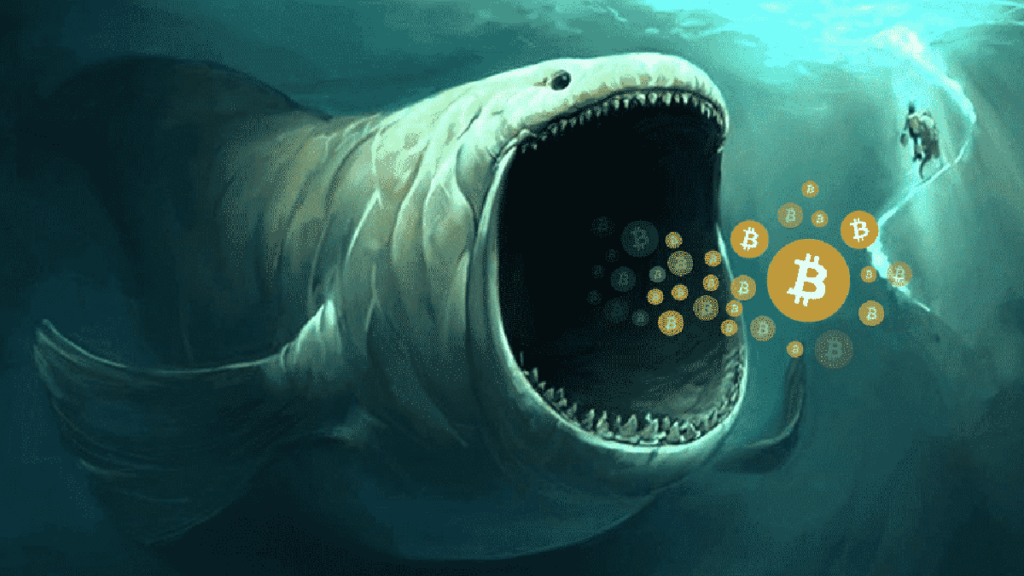 Bitcoin kitovi financaba ilustracija
