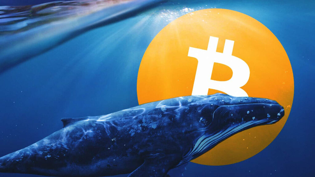 Bitcoin kitovi financa.ba ilustracija 2