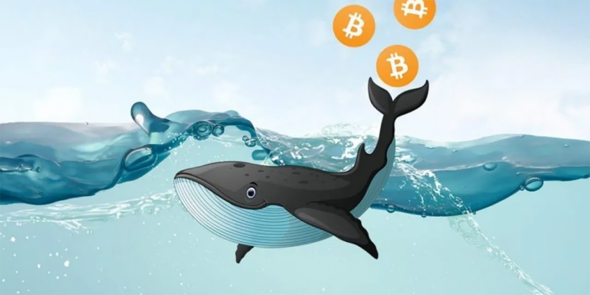 Bitcoin kitovi financa.ba ilustracija 3