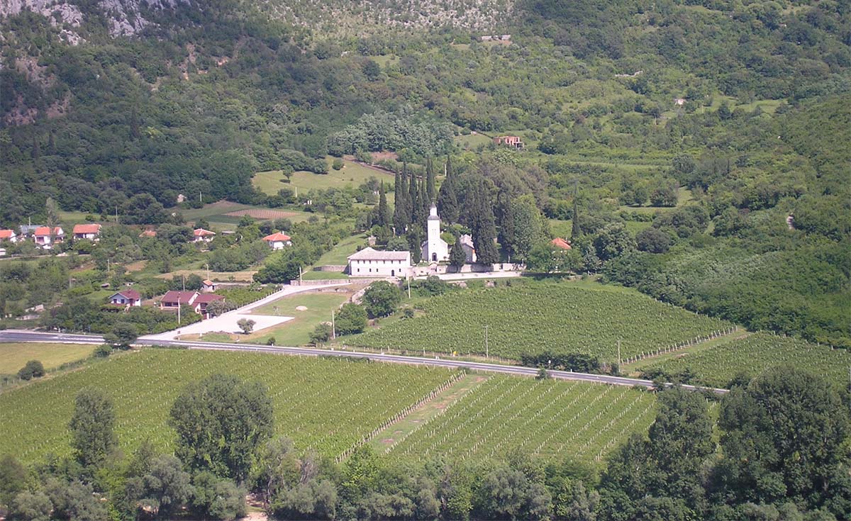 Manastir Žitomislić okružen vinogradima