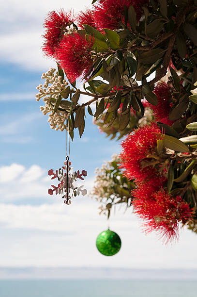 Pōhutukawa