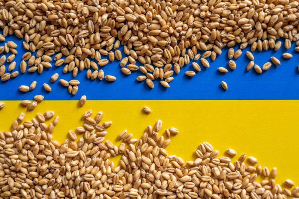 Zabrana uvoza ukrajinskog žita