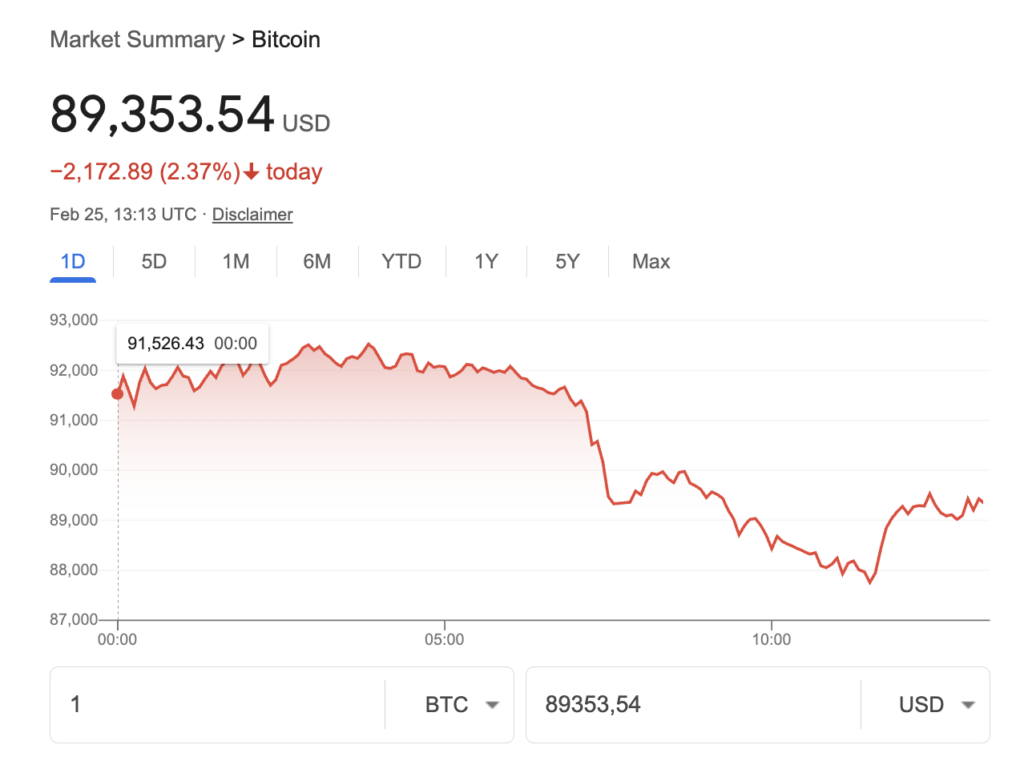 Bitcoin - pad na dan 25.2.2025.